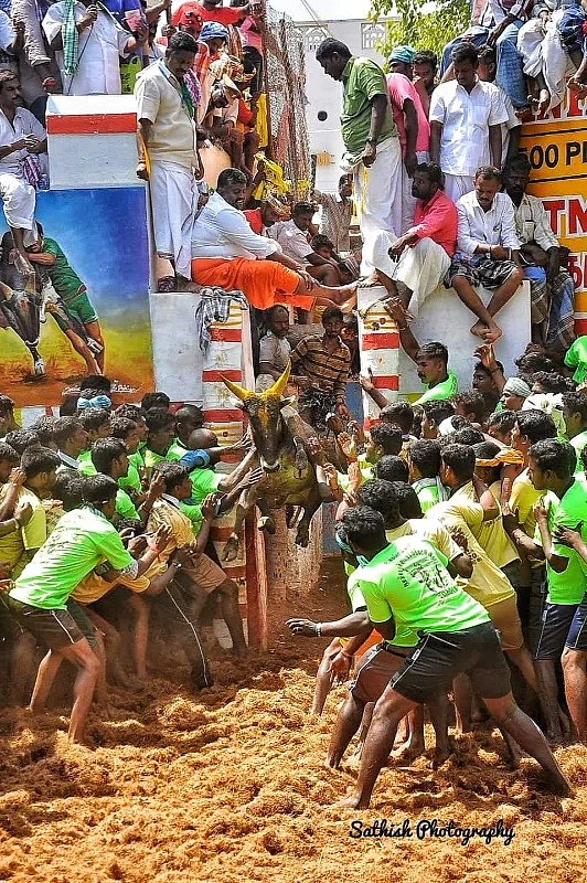 படம் சொல்லும் சேதி - உலகப் புகைப்பட தினம் #VikatanClicks