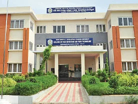 வருமானம் கொடுக்கும் வண்ண மீன் வளர்ப்பு!... பயிற்சி கொடுக்கும் பல்கலைக்கழகம்!