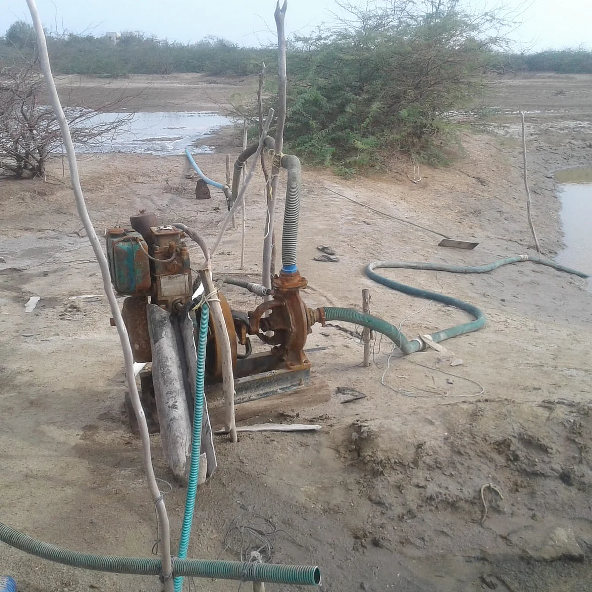 kodiyakarai