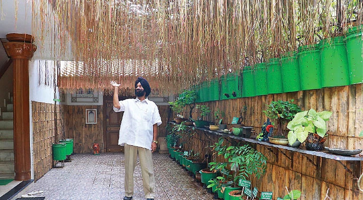 ராசி மற்றும் நட்சத்திர செடிகள்