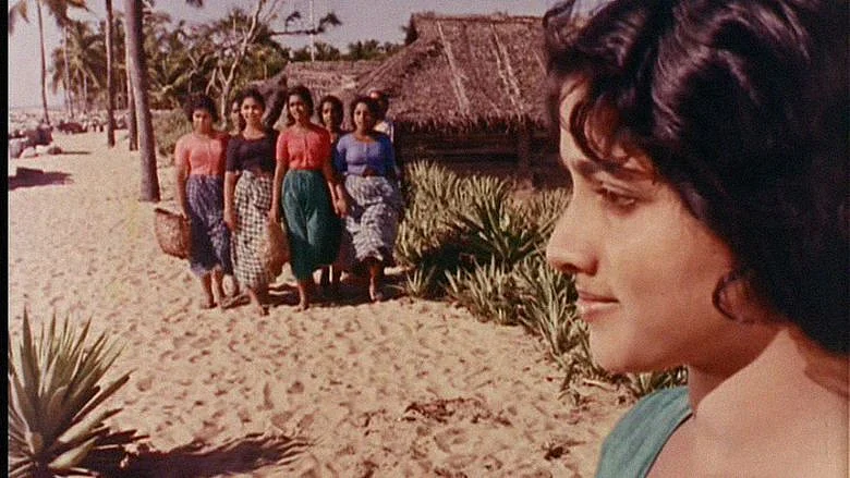 கடலினக்கரே போனோரே
