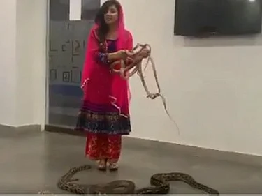 `இதற்கு இந்தியாவே மேல்!' - பாம்புகளுடன் மோடிக்கு மிரட்டல் விட்ட பாக். பாடகி