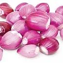 Onion