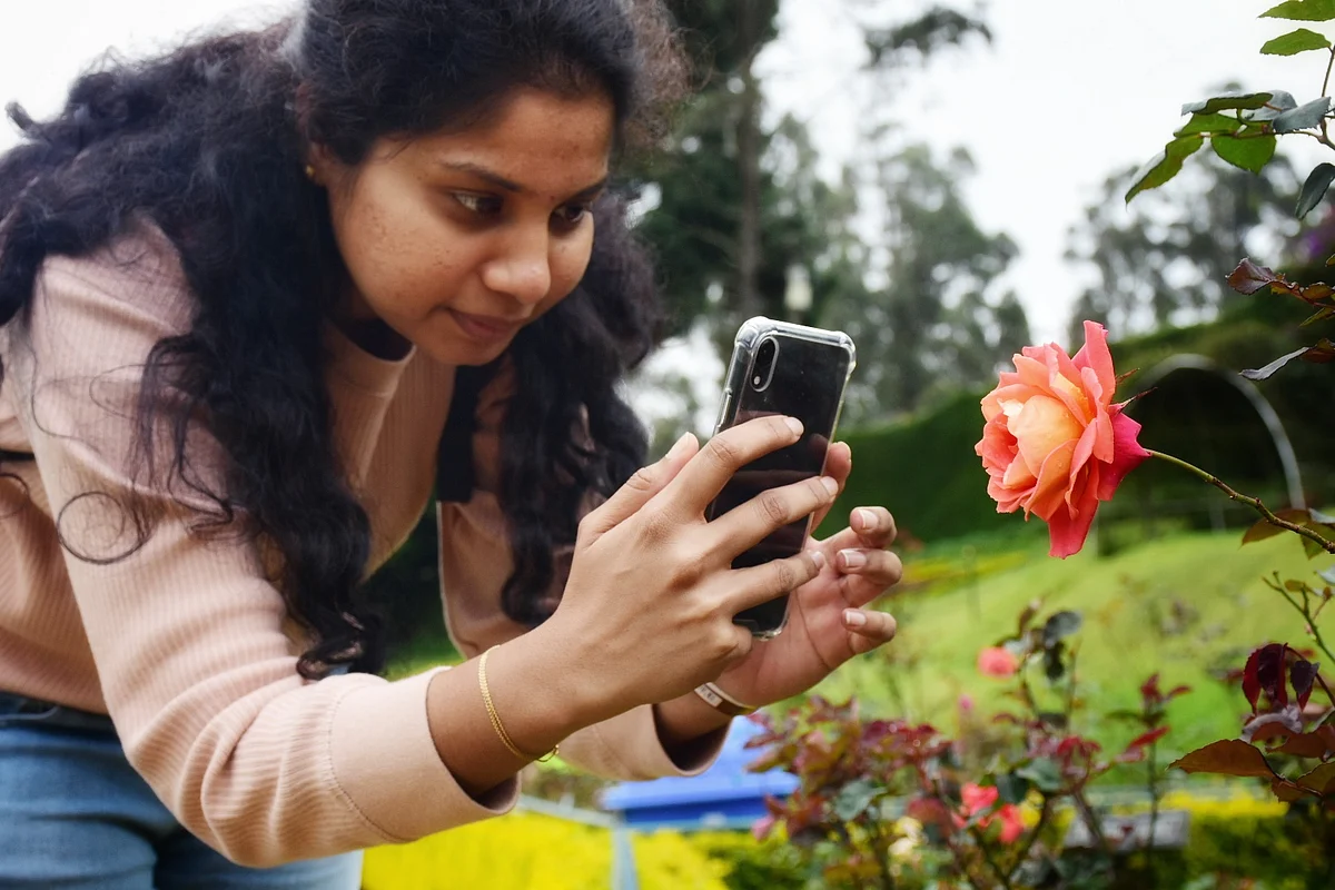 Ooty Rose Garden