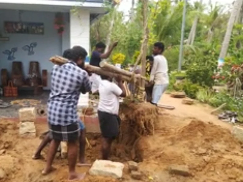 `பார்த்துப்பார்த்து வளர்த்த மரம்; வெட்ட மனமில்லை!' - வேரோடு பிடுங்கி மாற்று இடத்தில் நட்ட விவசாயி