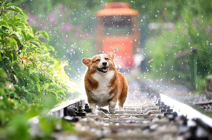 Representational Image