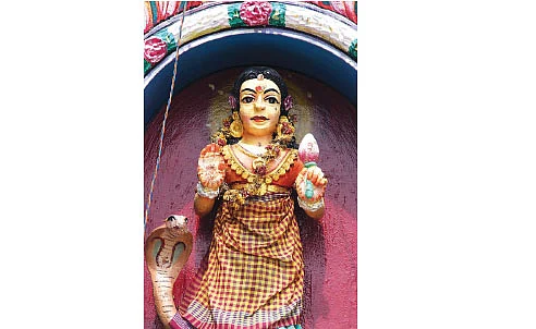 சீலைக்காரி - கோப்பி