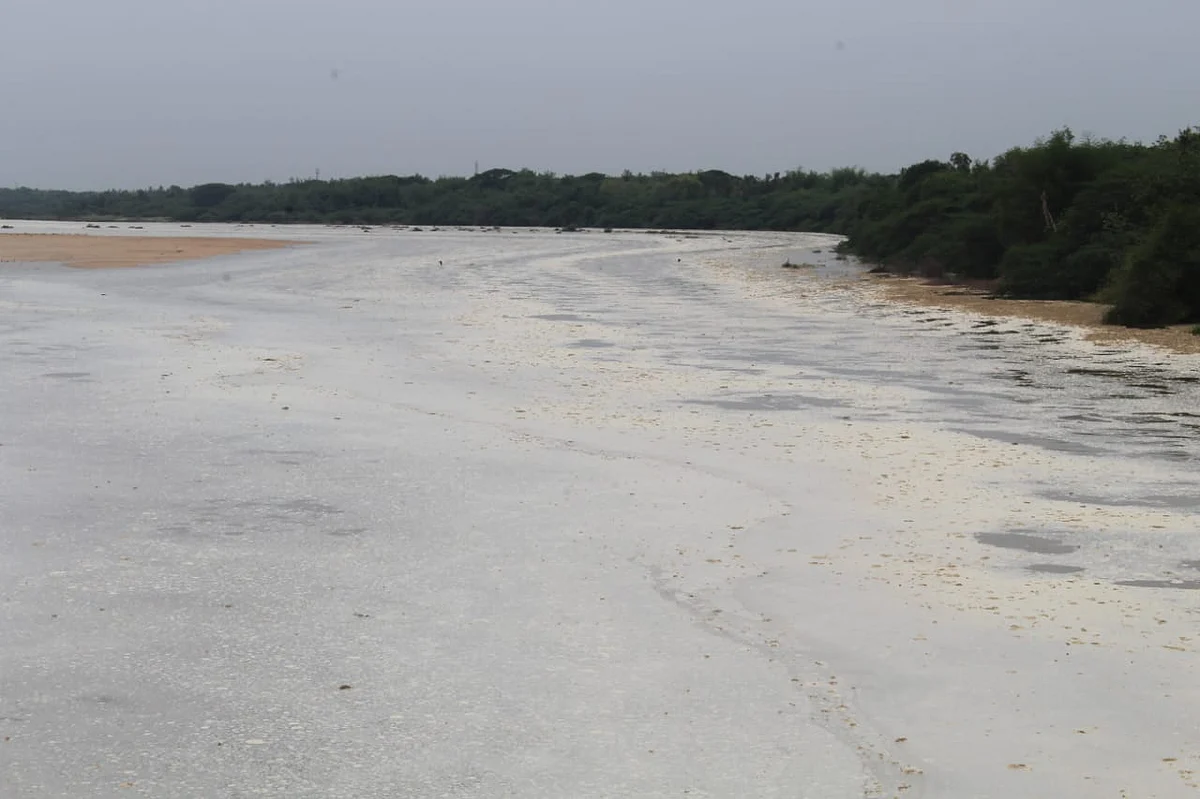 cauvery river