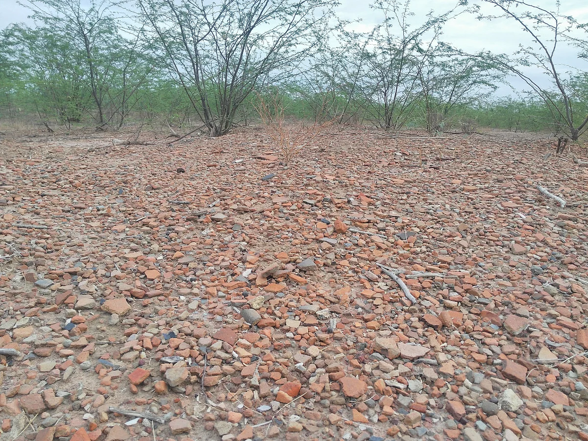 இலந்தைக்குளம்