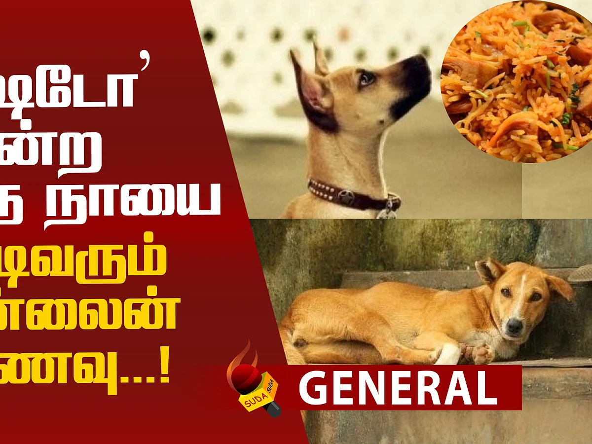 An interesting story behind a dog!