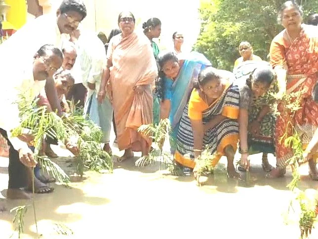 `குண்டும் குழியுமாக மாறிய சாலைகள்!’ - நாற்று நட்ட அரக்கோணம் மக்கள்