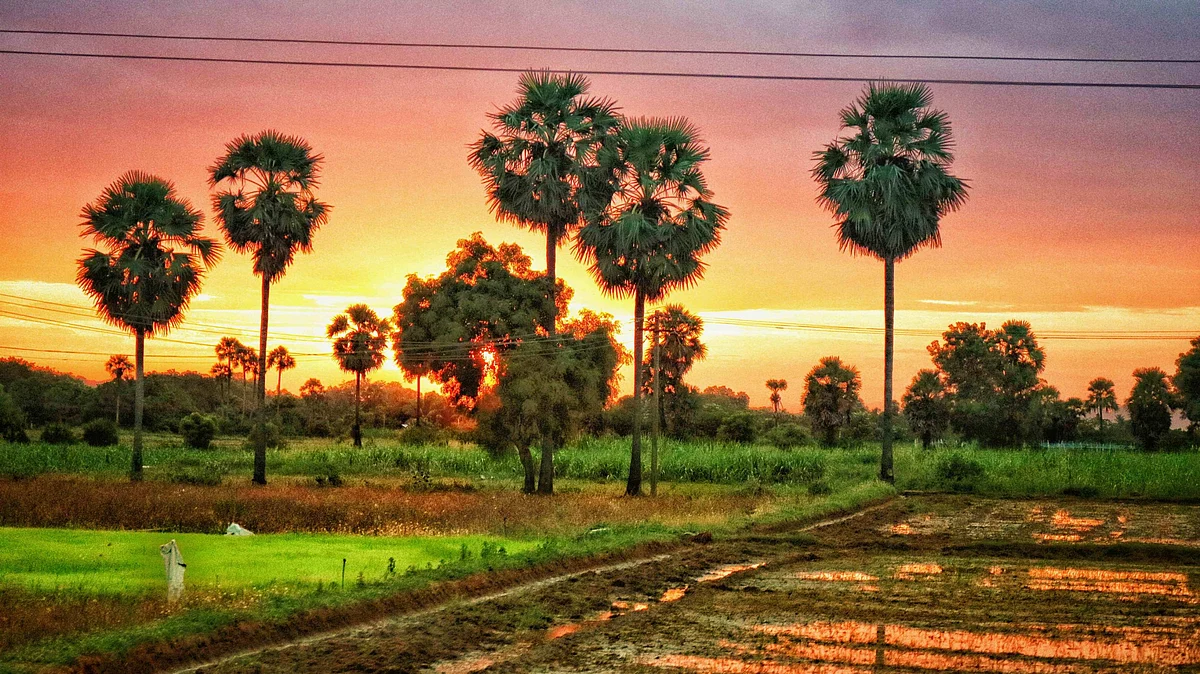 விவசாய நிலம்