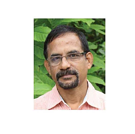 ஷியாம் சுந்தர், கமாடிட்டி நிபுணர்