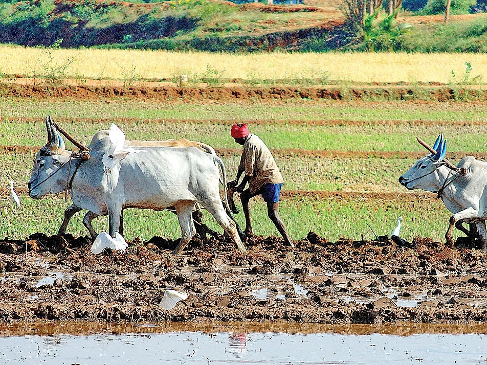 கிசான் ஓய்வூதியம் பெறுவது எப்படி?