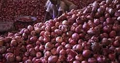 Onion