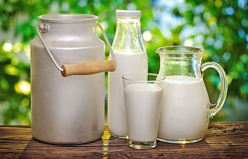Milk