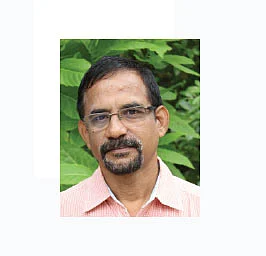 ஷியாம் சுந்தர், கமாடிட்டி நிபுணர்
