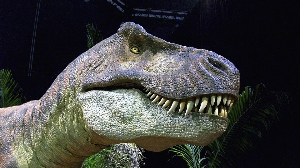 T-Rex