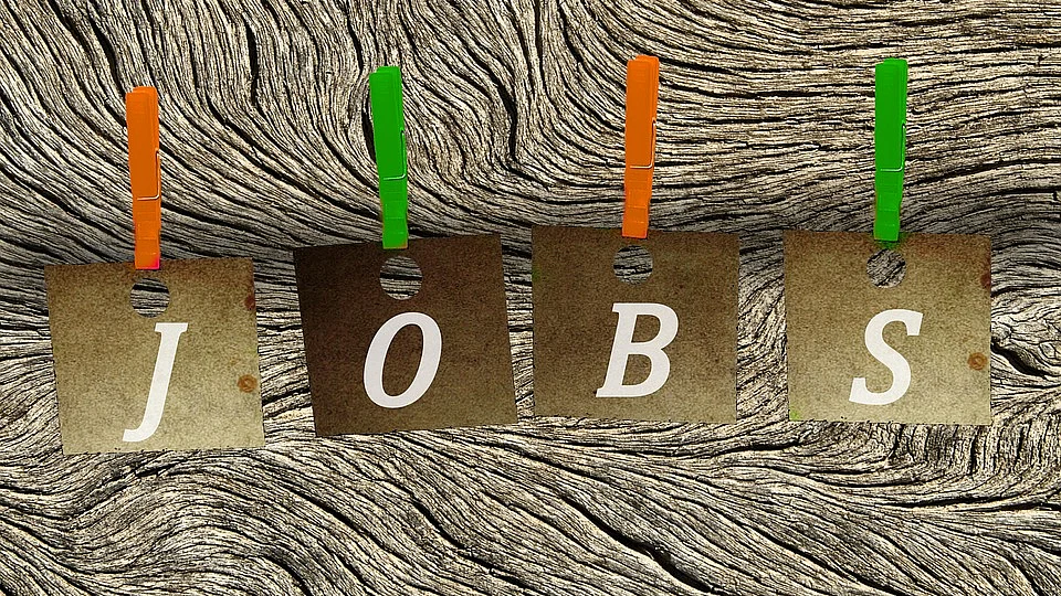 Job Opportunities