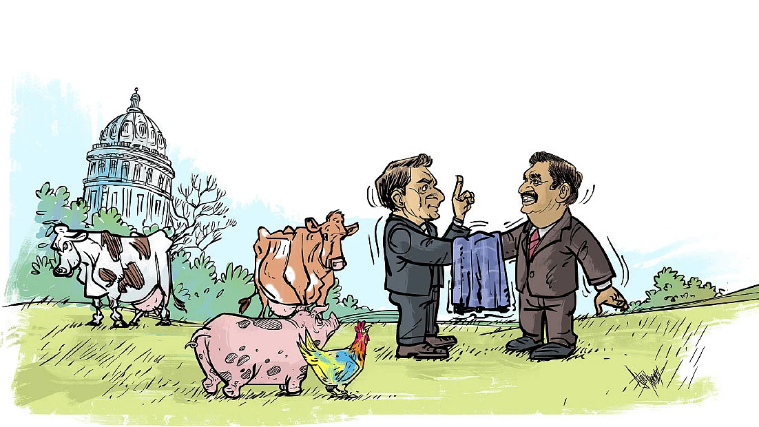 Cartoon