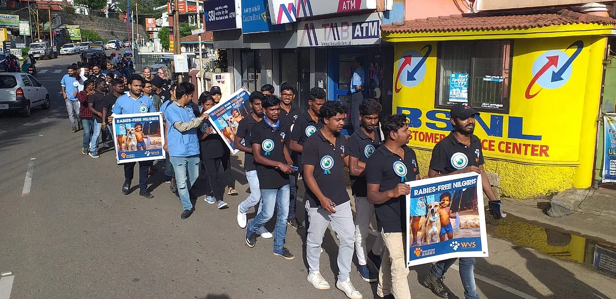pasteur institute of india