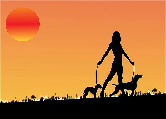 Representational Image