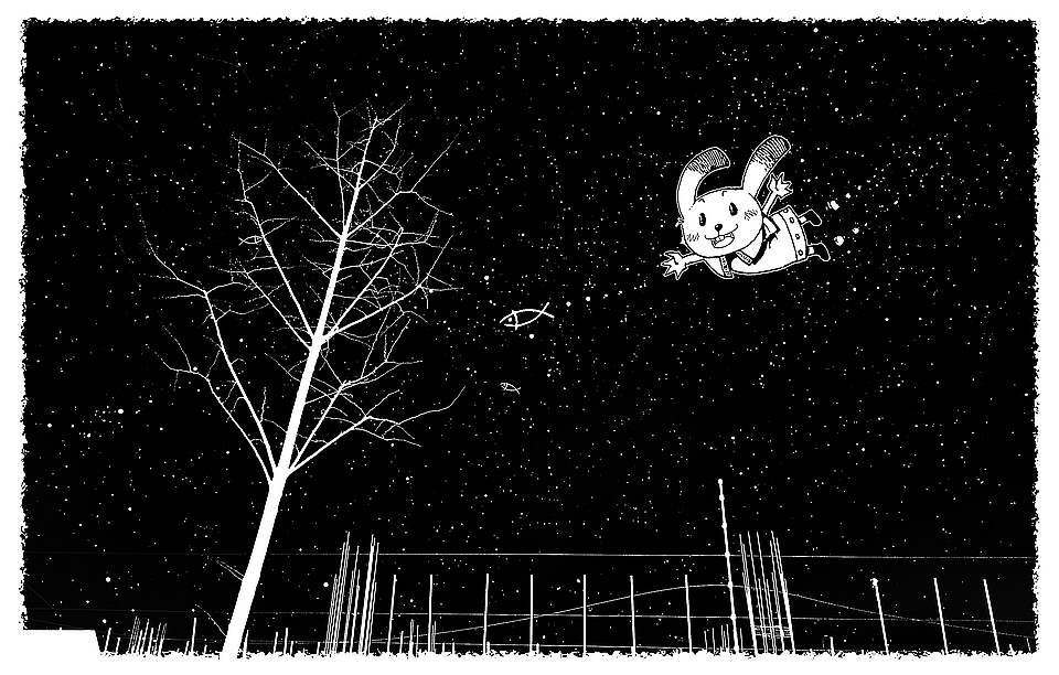 rabbit