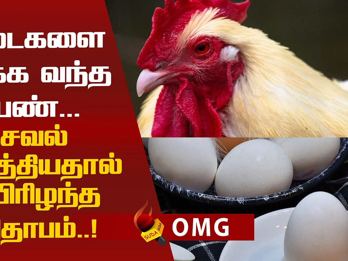 Australia women killed by the rooster!