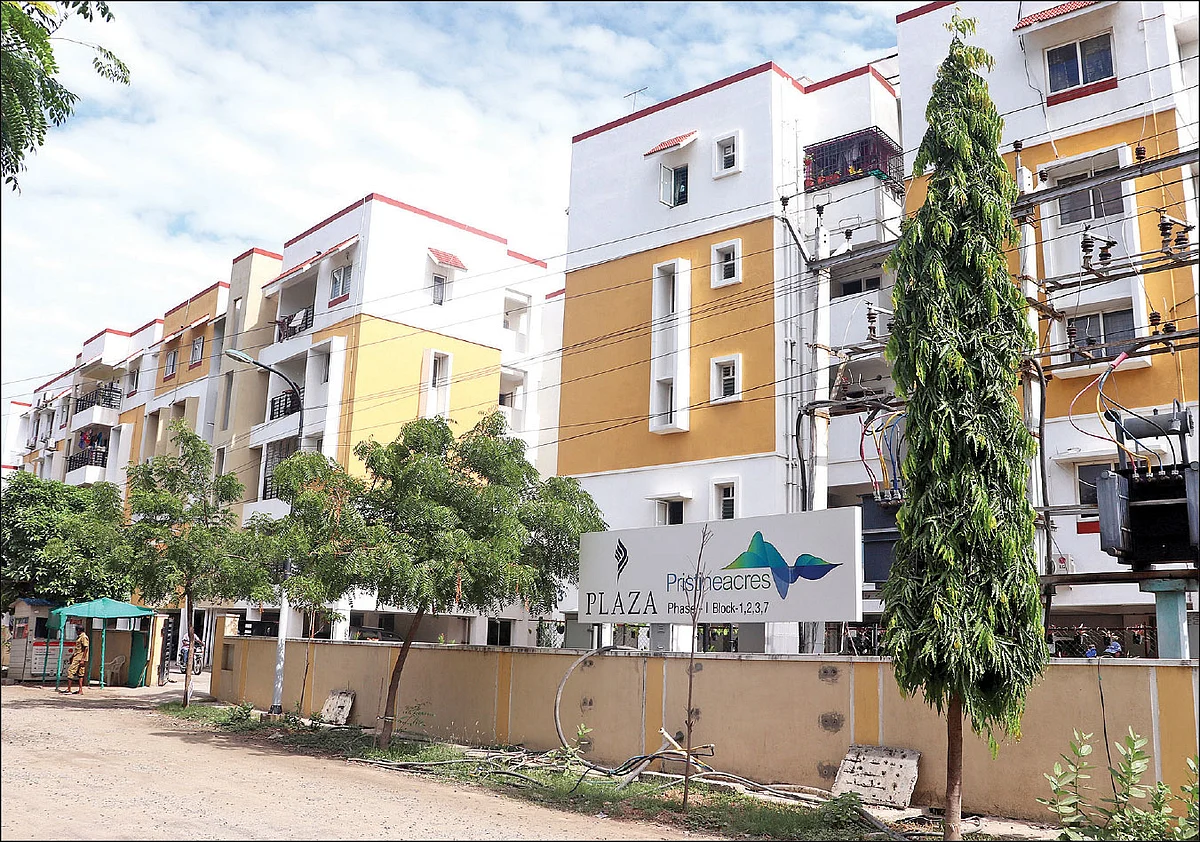 குடியிருப்பைச் சுற்றி சுத்திகரிக்கப்பட்ட நீரில் வளரும் மரங்கள்