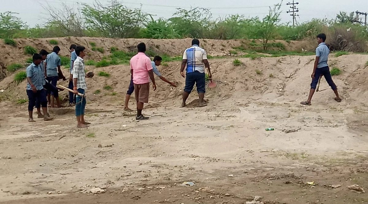 Young people sow palm seeds