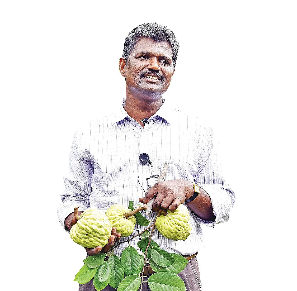 முனைவர் சக்திவேல்