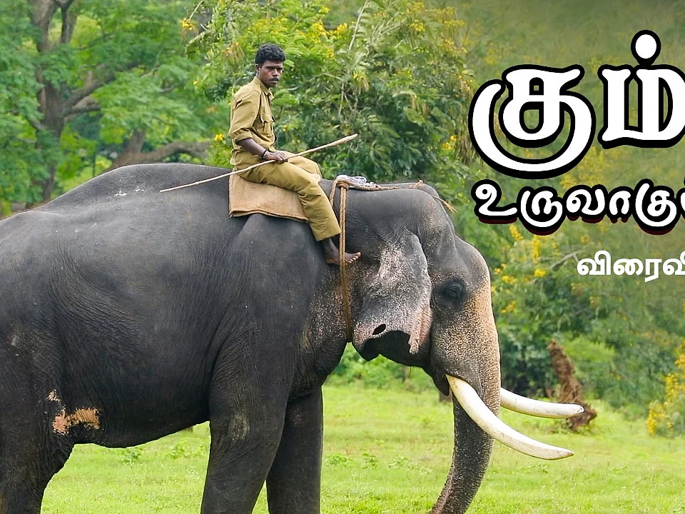 Kumki Elephant Documentary!