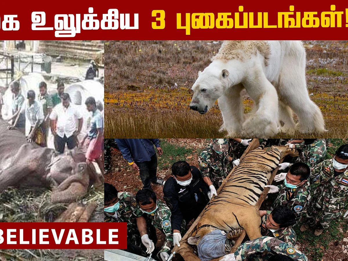 3 Viral Photos that shook the world!
