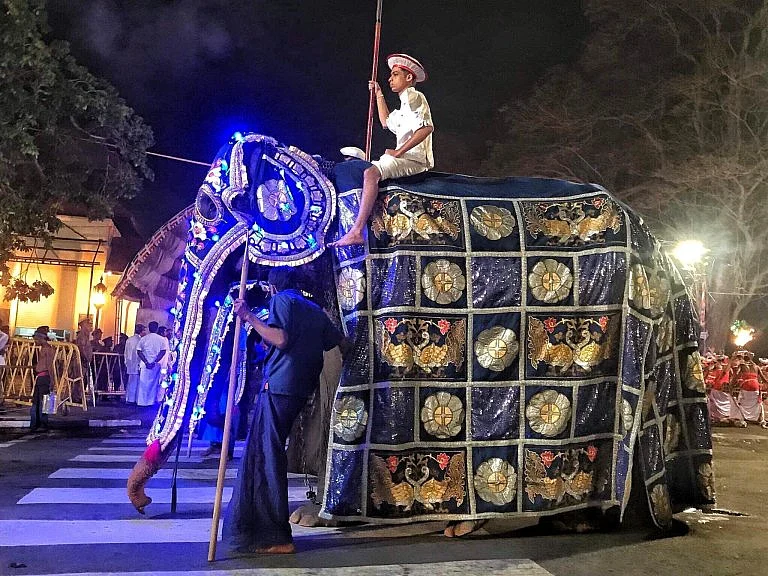 Tikkiri Elephant