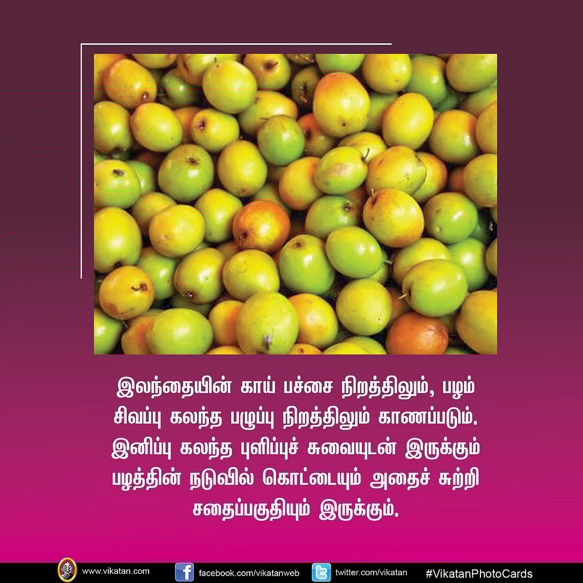 எல ம ப க க வல வ ட ட ம இலந த ப பழம Benefits Of Jujube Fruit
