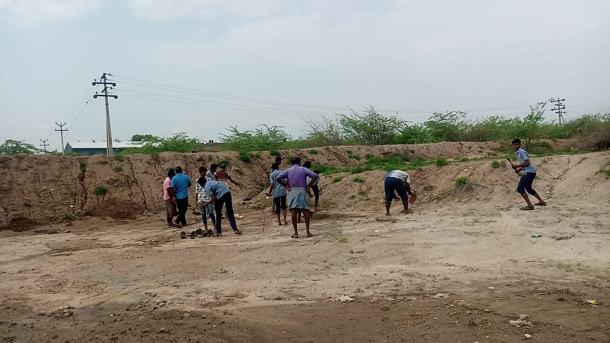 Young people sow palm seeds