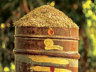 வேளாண் வழிகாட்டி 2019-20