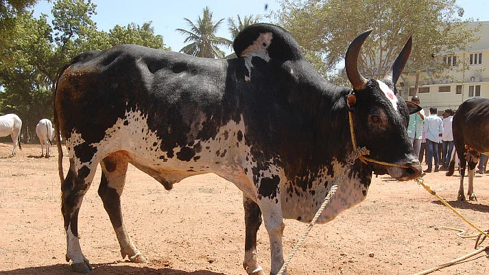 சர்ச்சை