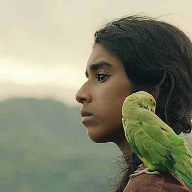 புத்தக+தேவதையின்+கதை