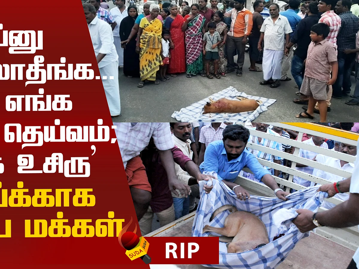 Emotional statement of Karur People on dog's death!