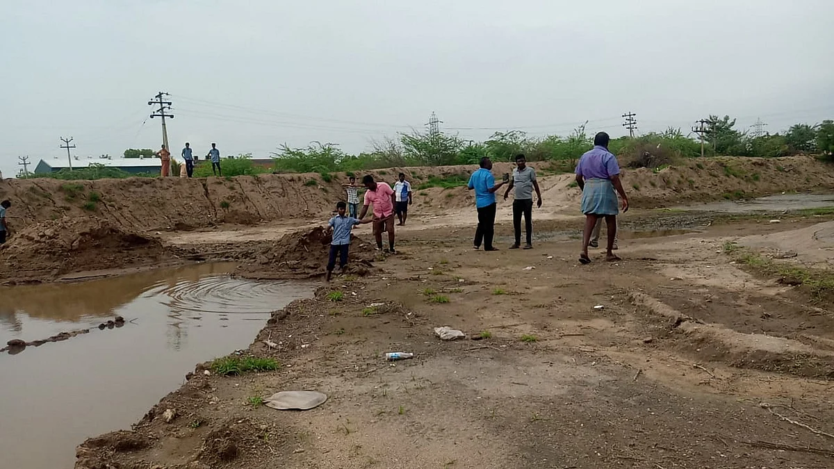 Young people sow palm seeds