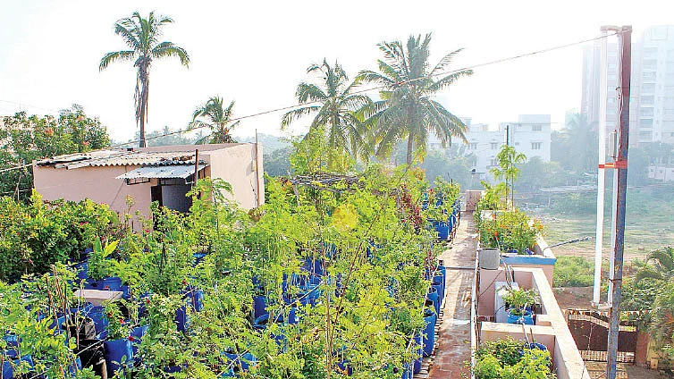 அறிவிப்பு