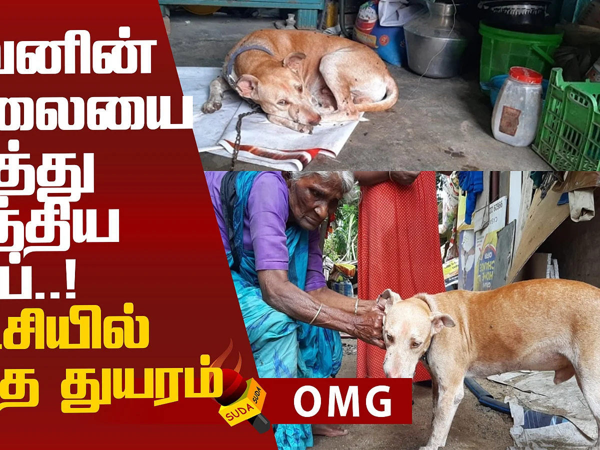 A Dog's Action to save his owner!