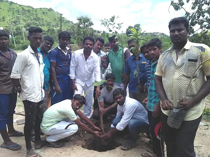 மரக்கன்று