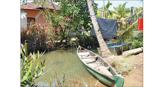 ஆலப்புழாப் படகு