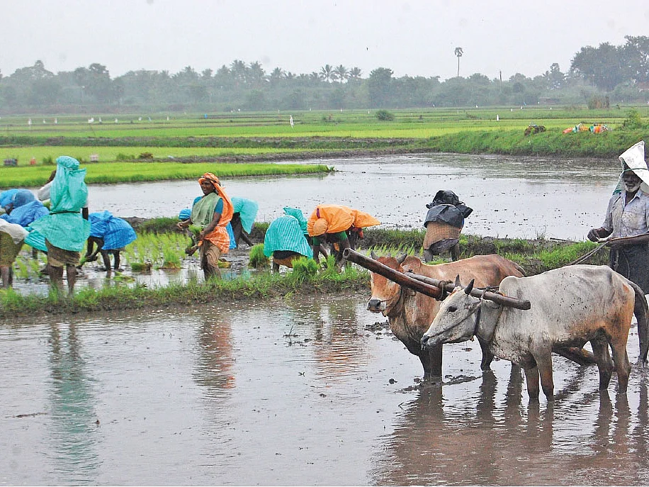வடகிழக்குப் பருவமழை 60 சதவிகிதம் பெய்யும்! - தமிழ்நாடு வேளாண் காலநிலை ஆராய்ச்சி மையம் அறிவிப்பு
