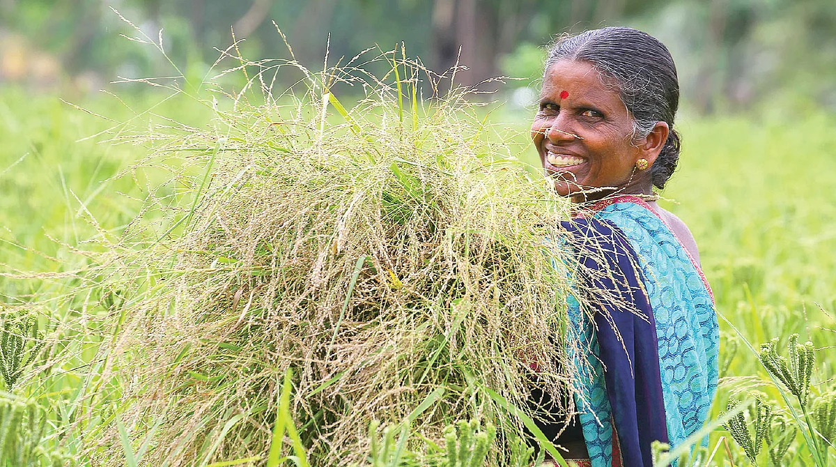 சாமை தாள்களுடன் பழனியம்மாள்