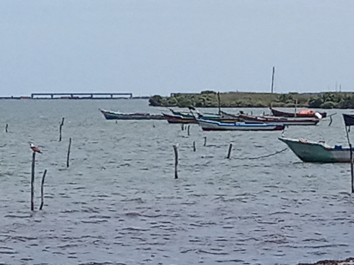 உப்பூர் அனல்மின் நிலைய கடல் பாலம்