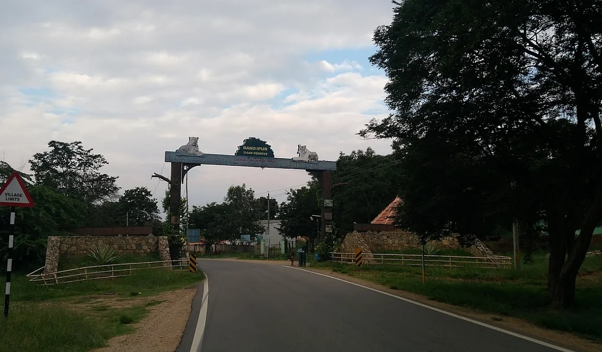 Bandipur tiger reserve