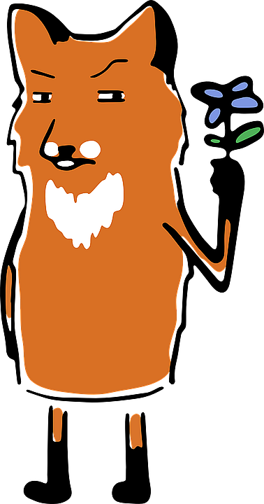 fox